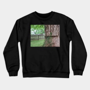 A tree and a fence Crewneck Sweatshirt